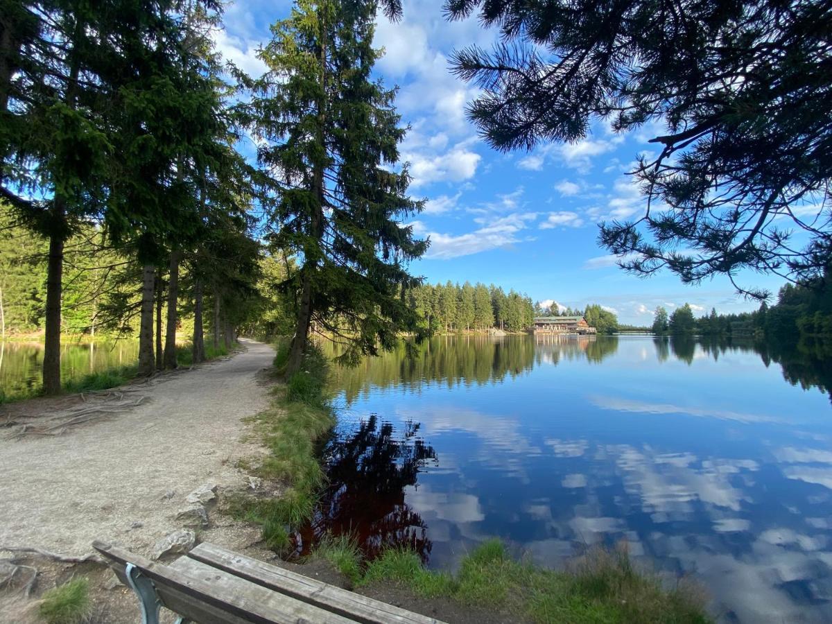 Ferienwohnung Oxana Im Naturpark Fichtelgebirge Schonwald  Eksteriør bilde