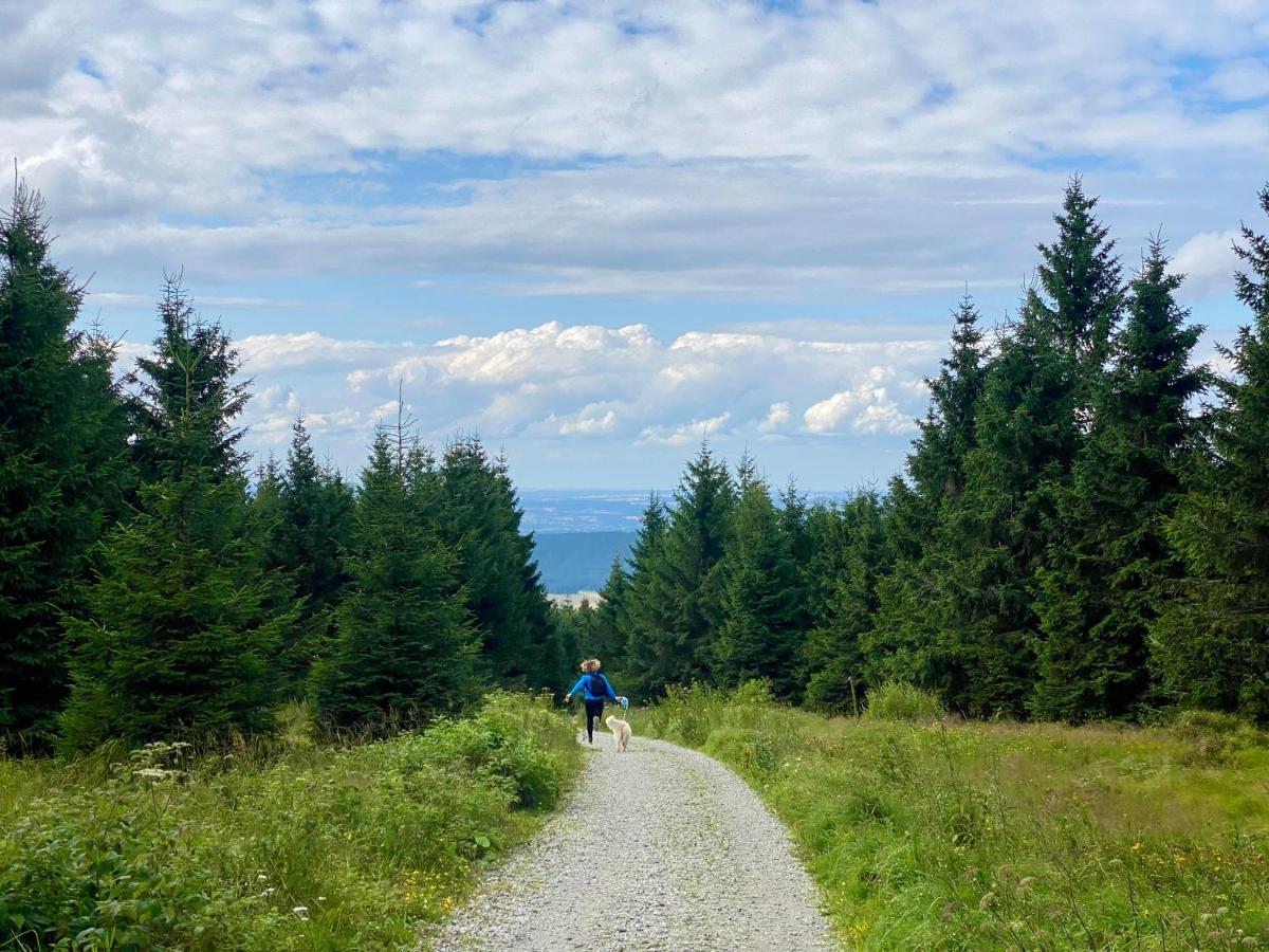 Ferienwohnung Oxana Im Naturpark Fichtelgebirge Schonwald  Eksteriør bilde