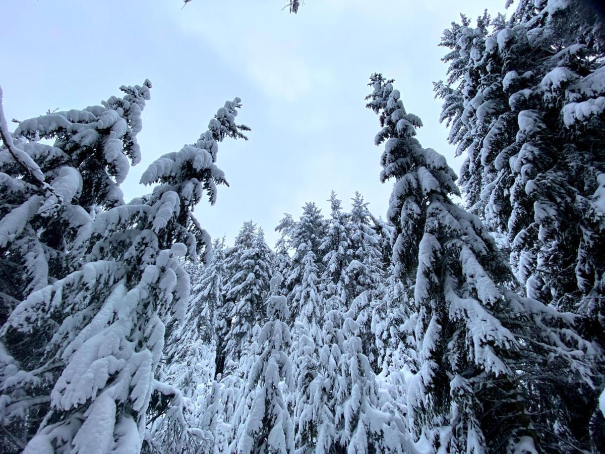 Ferienwohnung Oxana Im Naturpark Fichtelgebirge Schonwald  Eksteriør bilde