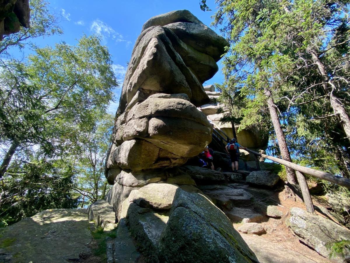 Ferienwohnung Oxana Im Naturpark Fichtelgebirge Schonwald  Eksteriør bilde