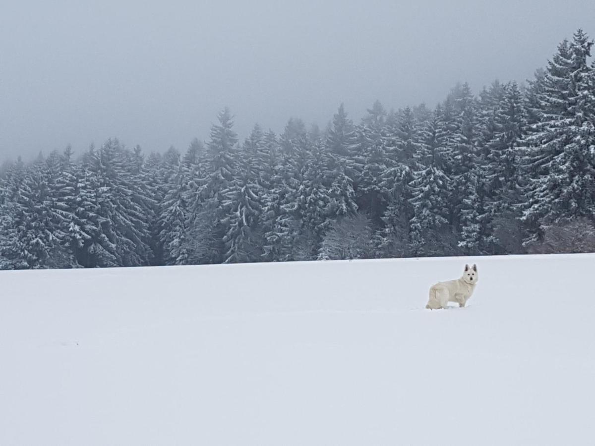 Ferienwohnung Oxana Im Naturpark Fichtelgebirge Schonwald  Eksteriør bilde
