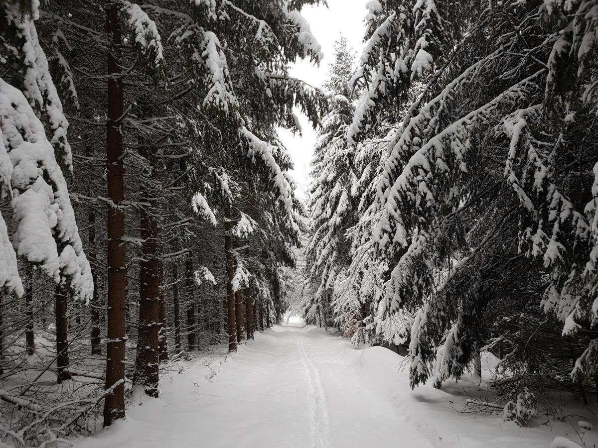 Ferienwohnung Oxana Im Naturpark Fichtelgebirge Schonwald  Eksteriør bilde