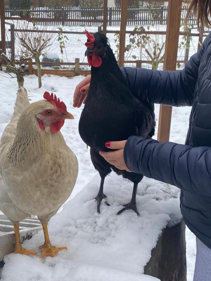 Ferienwohnung Oxana Im Naturpark Fichtelgebirge Schonwald  Eksteriør bilde